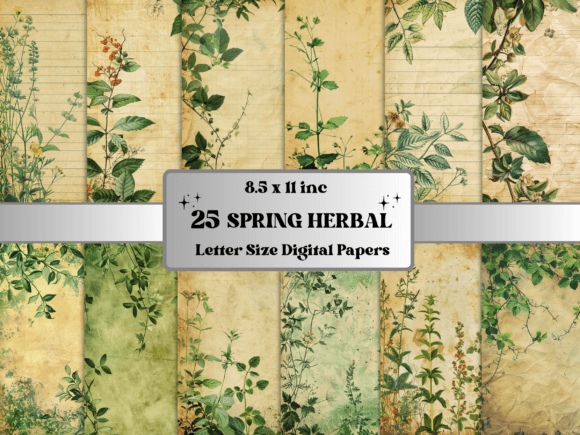 Download Spring Herbal Botanical Digital Paper - Premium Resources